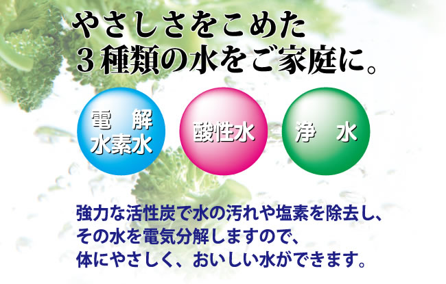 セラビII(CI-701H)